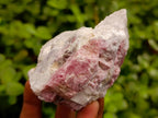 Natural Pink Rubellite Tourmaline Specimens x 6 From Karibib, Namibia - Toprock Gemstones and Minerals 