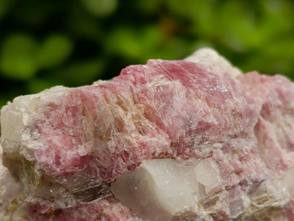 Natural Pink Rubellite Tourmaline Specimens x 6 From Karibib, Namibia - Toprock Gemstones and Minerals 