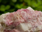 Natural Pink Rubellite Tourmaline Specimens x 6 From Karibib, Namibia - Toprock Gemstones and Minerals 