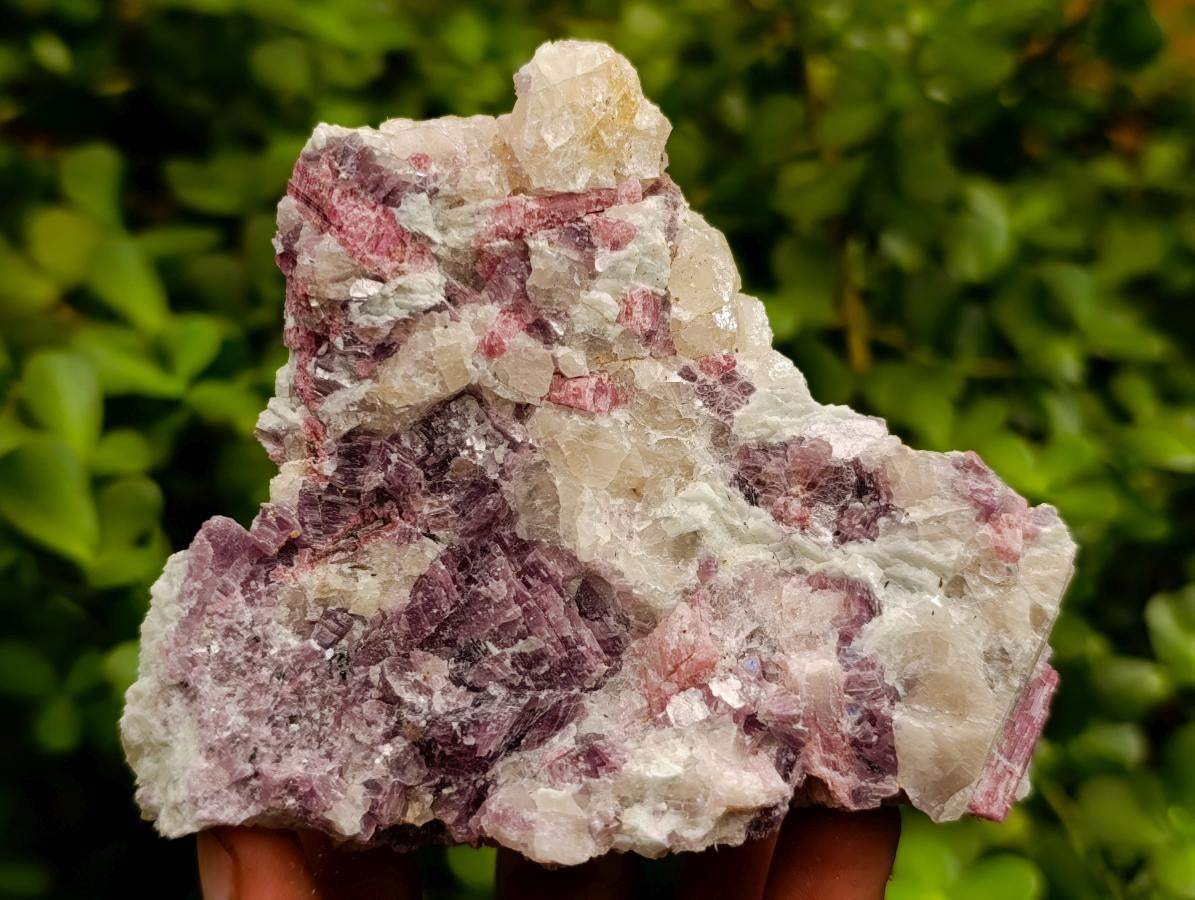 Natural Pink Rubellite Tourmaline Specimens x 6 From Karibib, Namibia - Toprock Gemstones and Minerals 
