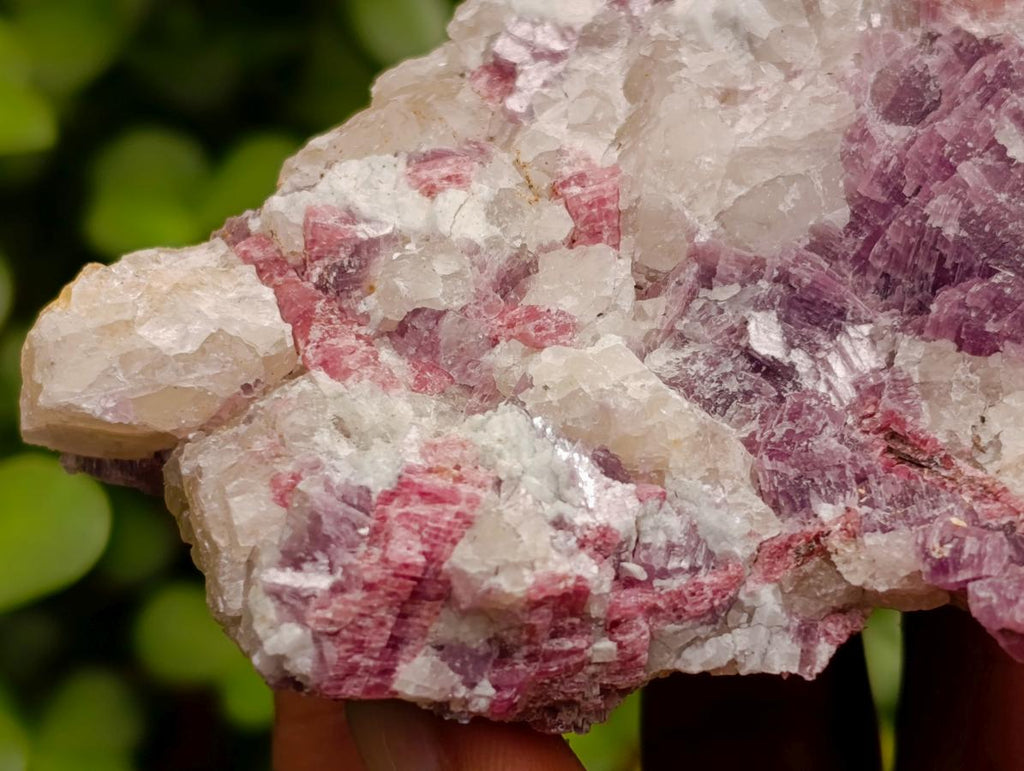 Natural Pink Rubellite Tourmaline Specimens x 6 From Karibib, Namibia - Toprock Gemstones and Minerals 
