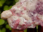 Natural Pink Rubellite Tourmaline Specimens x 6 From Karibib, Namibia - Toprock Gemstones and Minerals 