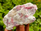Natural Pink Rubellite Tourmaline Specimens x 6 From Karibib, Namibia - Toprock Gemstones and Minerals 