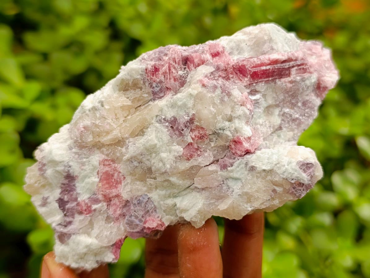 Natural Pink Rubellite Tourmaline Specimens x 6 From Karibib, Namibia - Toprock Gemstones and Minerals 