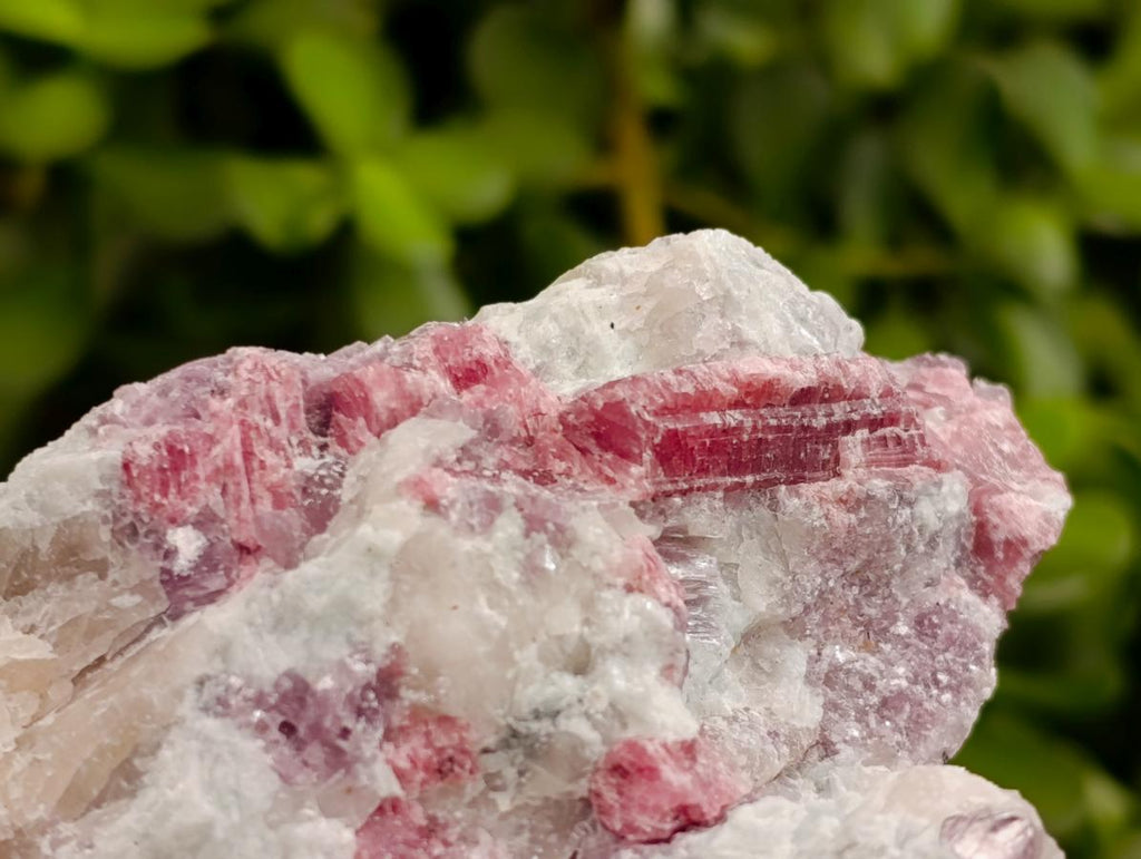 Natural Pink Rubellite Tourmaline Specimens x 6 From Karibib, Namibia - Toprock Gemstones and Minerals 