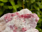 Natural Pink Rubellite Tourmaline Specimens x 6 From Karibib, Namibia - Toprock Gemstones and Minerals 