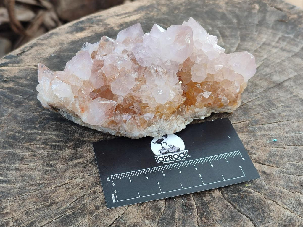 Natural Amethyst and Ametrine Spirit Clusters x 2 From Boekenhouthoek, South Africa - Toprock Gemstones and Minerals 