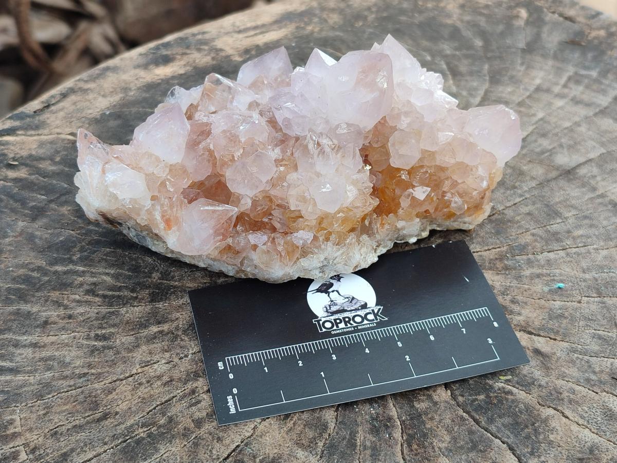 Natural Amethyst and Ametrine Spirit Clusters x 2 From Boekenhouthoek, South Africa - Toprock Gemstones and Minerals 