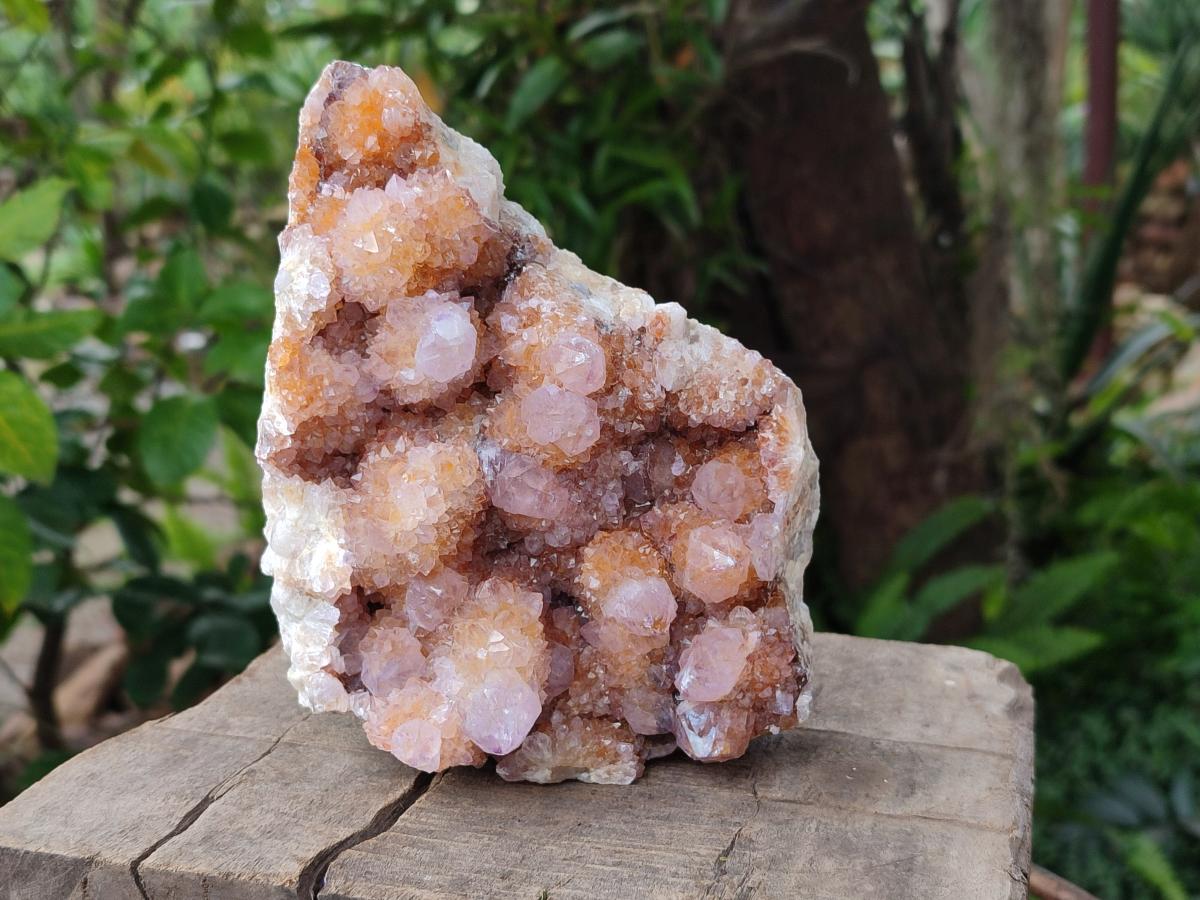Natural Amethyst and Ametrine Spirit Clusters x 2 From Boekenhouthoek, South Africa - Toprock Gemstones and Minerals 