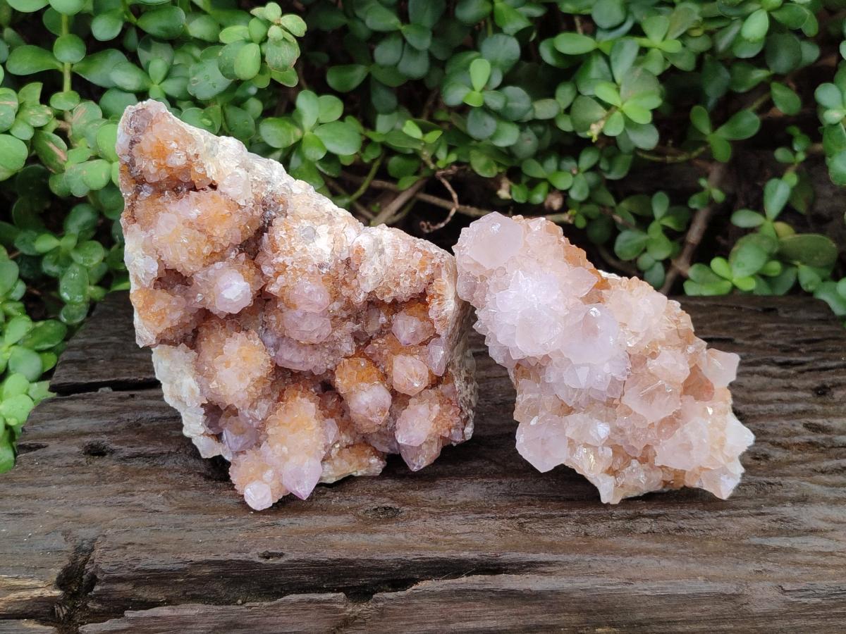 Natural Amethyst and Ametrine Spirit Clusters x 2 From Boekenhouthoek, South Africa - Toprock Gemstones and Minerals 