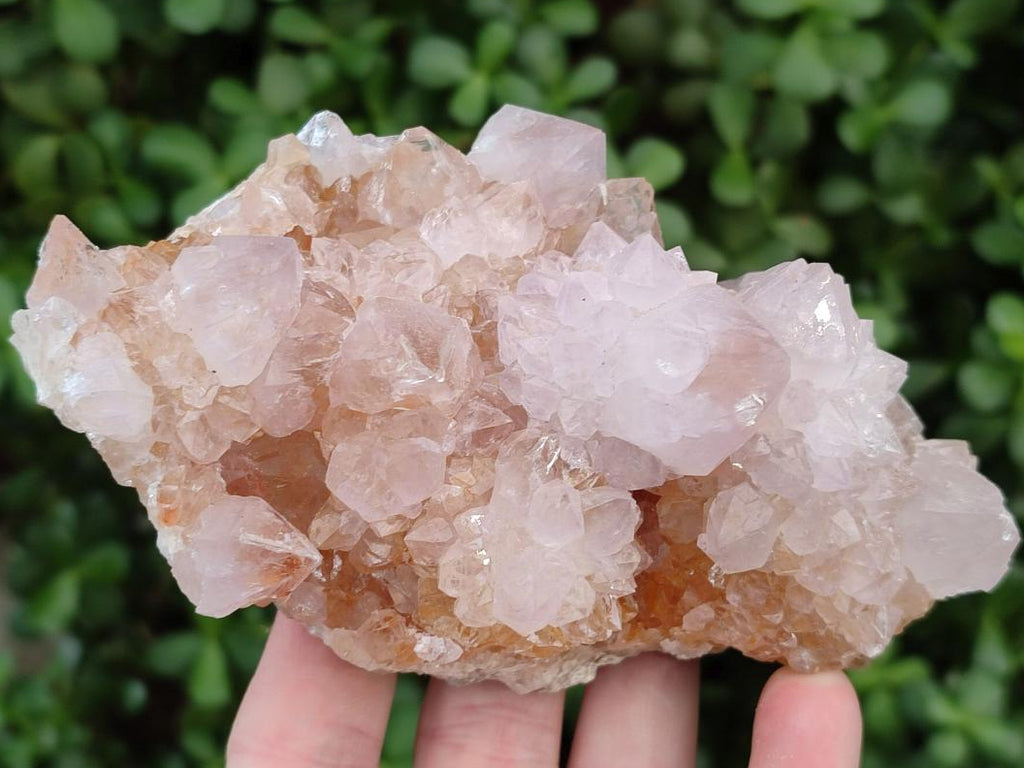 Natural Amethyst and Ametrine Spirit Clusters x 2 From Boekenhouthoek, South Africa - Toprock Gemstones and Minerals 
