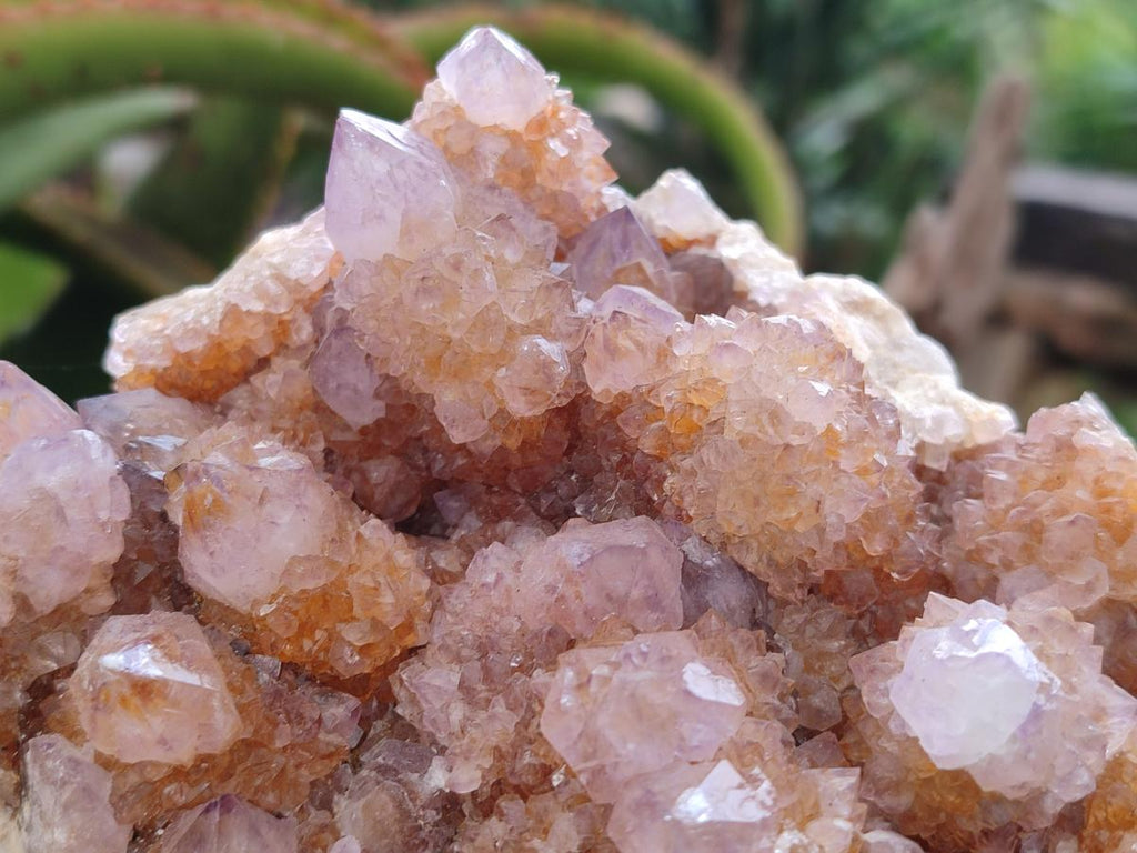 Natural Amethyst and Ametrine Spirit Clusters x 2 From Boekenhouthoek, South Africa - Toprock Gemstones and Minerals 