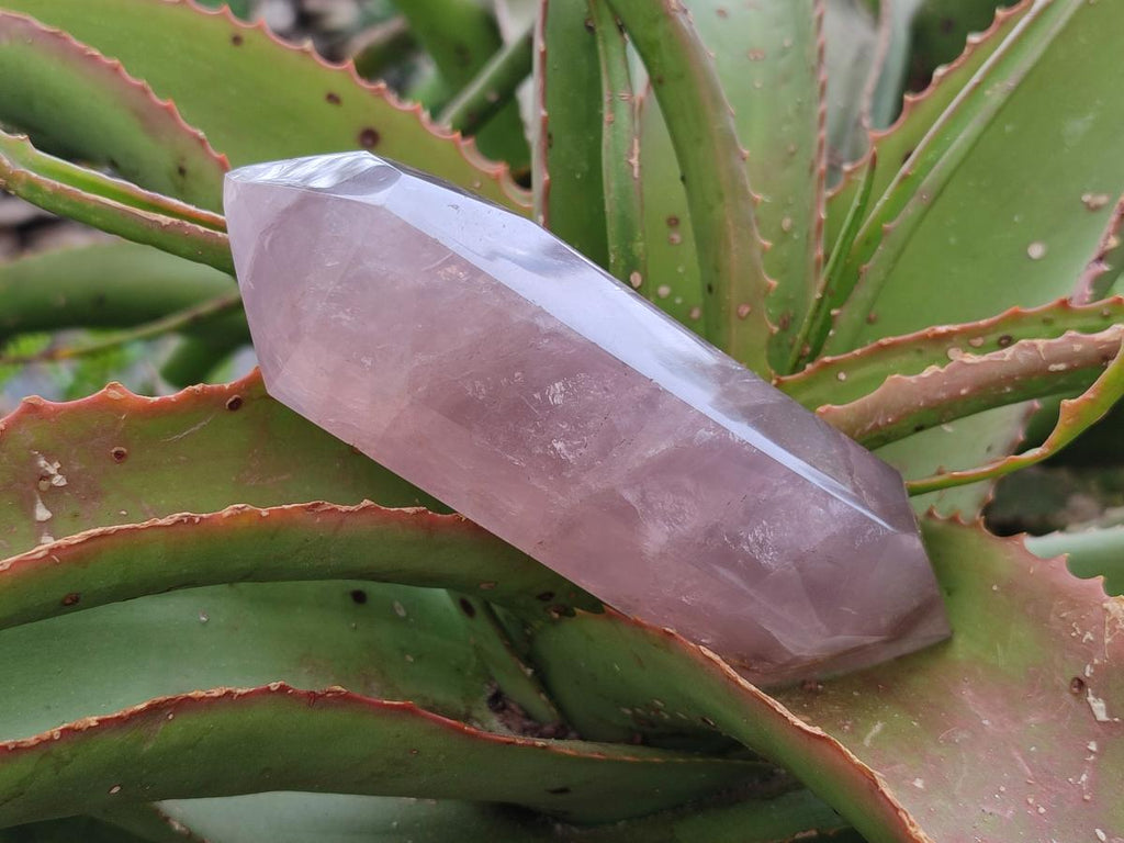 Polished Double Terminated Gemmy Rose Quartz Crystals x 4 From Madagascar - Toprock Gemstones and Minerals 