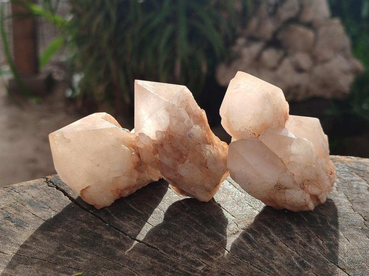 Natural Cascading Candle Quartz Crystals x 24 From Antsirabe, Madagascar - Toprock Gemstones and Minerals 