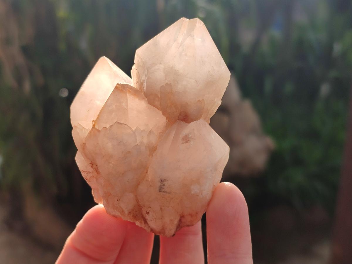 Natural Cascading Candle Quartz Crystals x 24 From Antsirabe, Madagascar - Toprock Gemstones and Minerals 