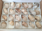 Natural Cascading Candle Quartz Crystals x 24 From Antsirabe, Madagascar - Toprock Gemstones and Minerals 