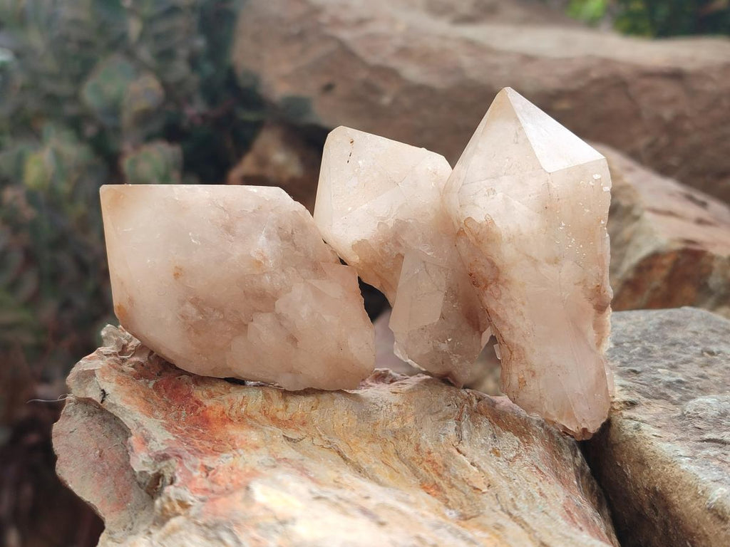 Natural Cascading Candle Quartz Crystals x 24 From Antsirabe, Madagascar - Toprock Gemstones and Minerals 