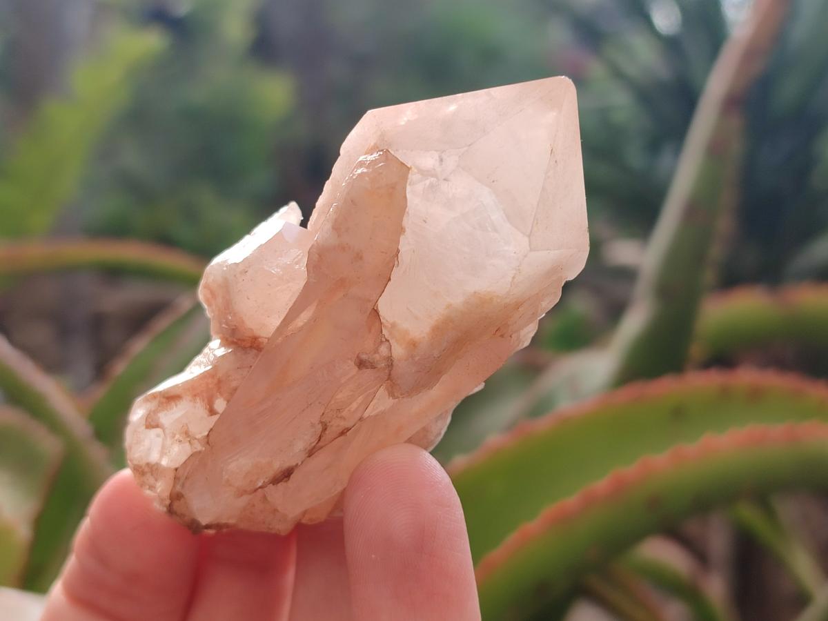 Natural Cascading Candle Quartz Crystals x 24 From Antsirabe, Madagascar - Toprock Gemstones and Minerals 