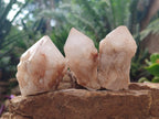 Natural Cascading Candle Quartz Crystals x 24 From Antsirabe, Madagascar - Toprock Gemstones and Minerals 