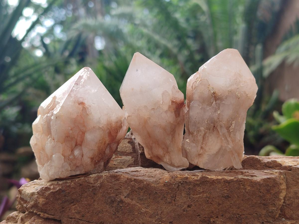 Natural Cascading Candle Quartz Crystals x 24 From Antsirabe, Madagascar - Toprock Gemstones and Minerals 