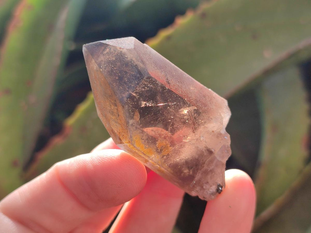 Natural Smokey Quartz Crystals x 24 From Mulanje, Malawi - Toprock Gemstones and Minerals 