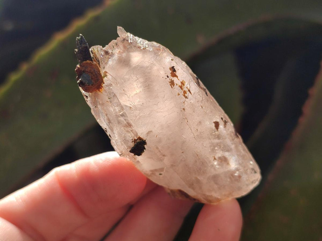 Natural Smokey Quartz Crystals x 24 From Mulanje, Malawi - Toprock Gemstones and Minerals 