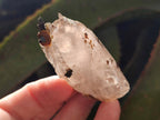 Natural Smokey Quartz Crystals x 24 From Mulanje, Malawi - Toprock Gemstones and Minerals 
