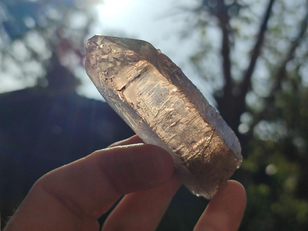 Natural Smokey Quartz Crystals x 24 From Mulanje, Malawi - Toprock Gemstones and Minerals 