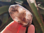 Natural Smokey Quartz Crystals x 24 From Mulanje, Malawi - Toprock Gemstones and Minerals 