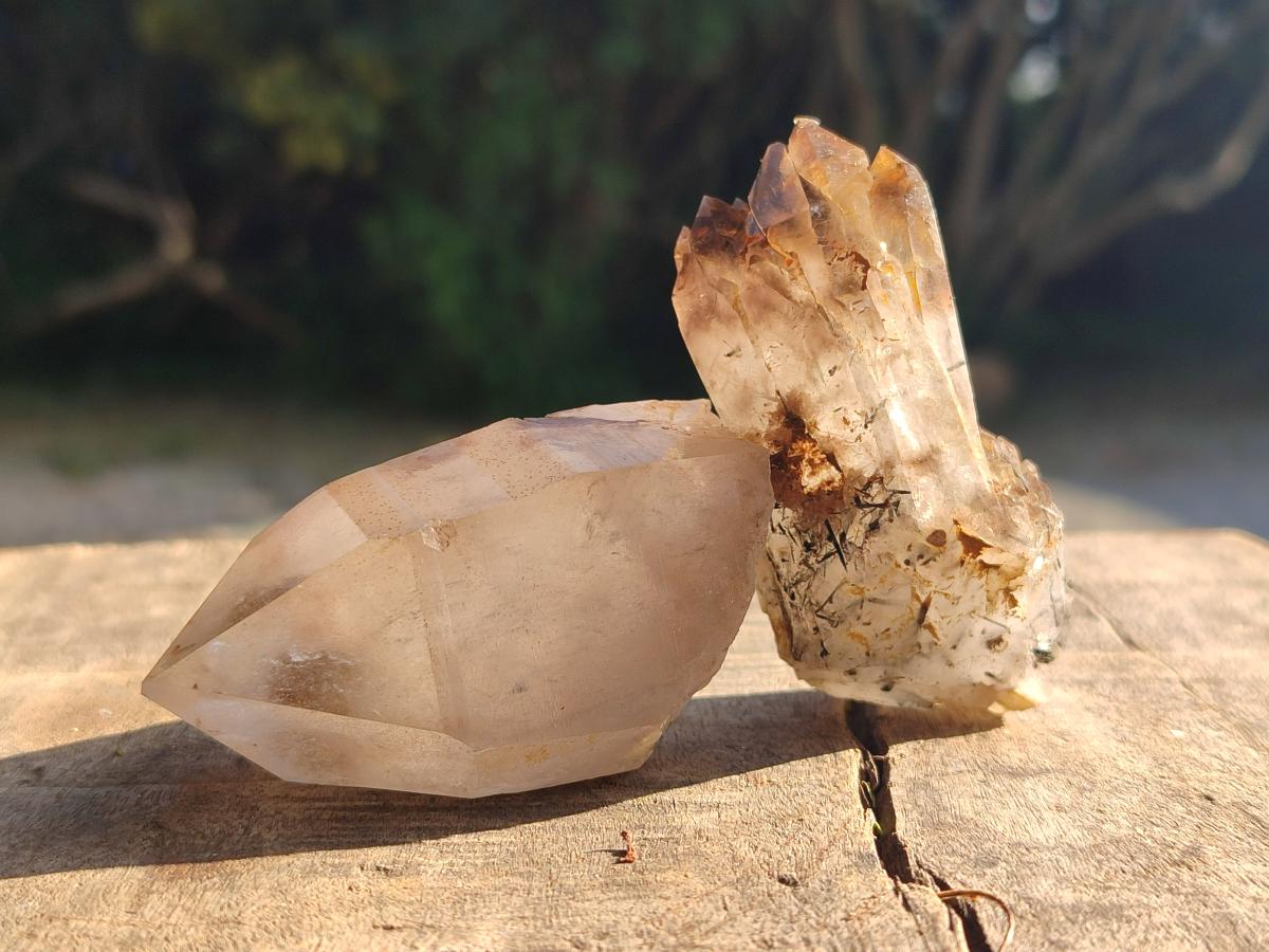 Natural Smokey Quartz Crystals x 24 From Mulanje, Malawi - Toprock Gemstones and Minerals 