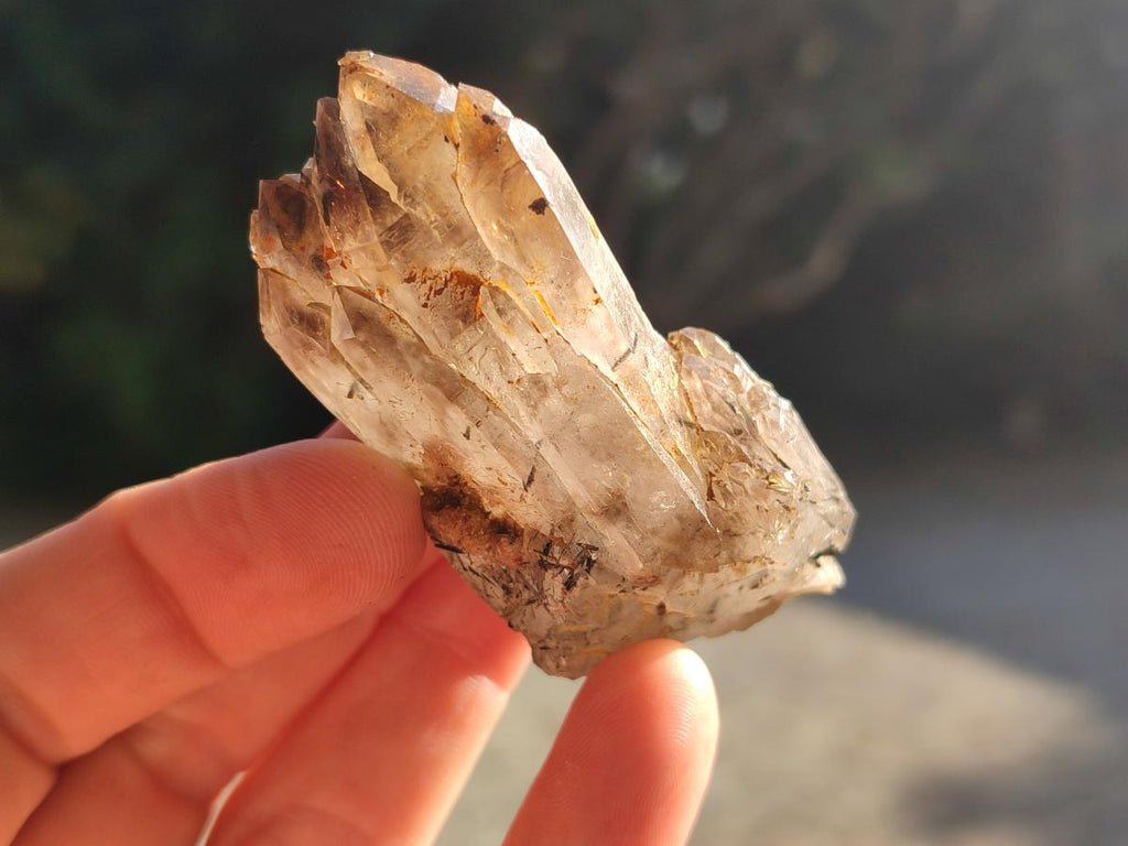 Natural Smokey Quartz Crystals x 24 From Mulanje, Malawi - Toprock Gemstones and Minerals 