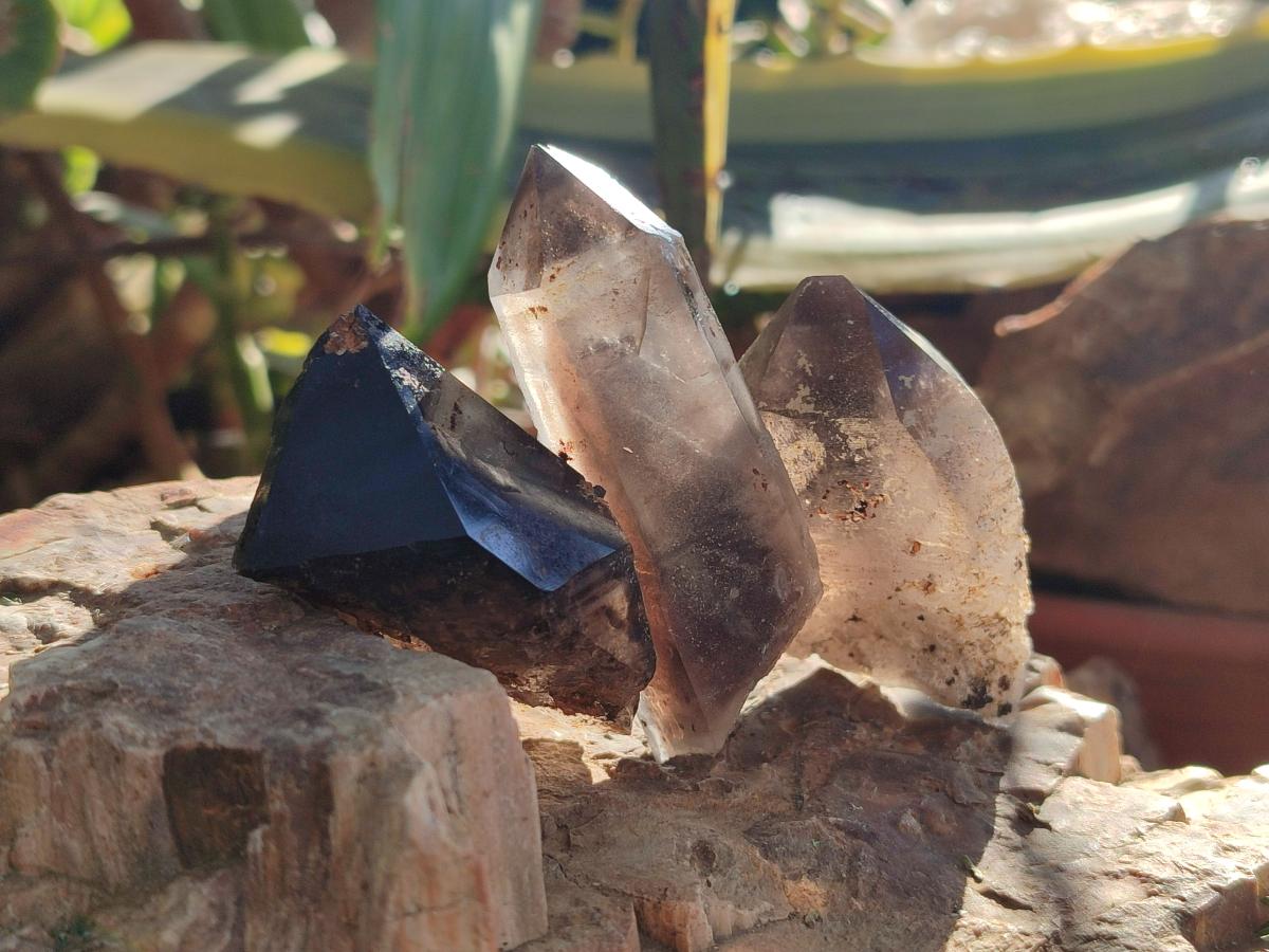 Natural Smokey Quartz Crystals x 24 From Mulanje, Malawi - Toprock Gemstones and Minerals 