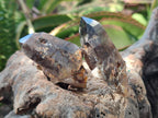 Natural Smokey Quartz Crystals x 24 From Mulanje, Malawi - Toprock Gemstones and Minerals 