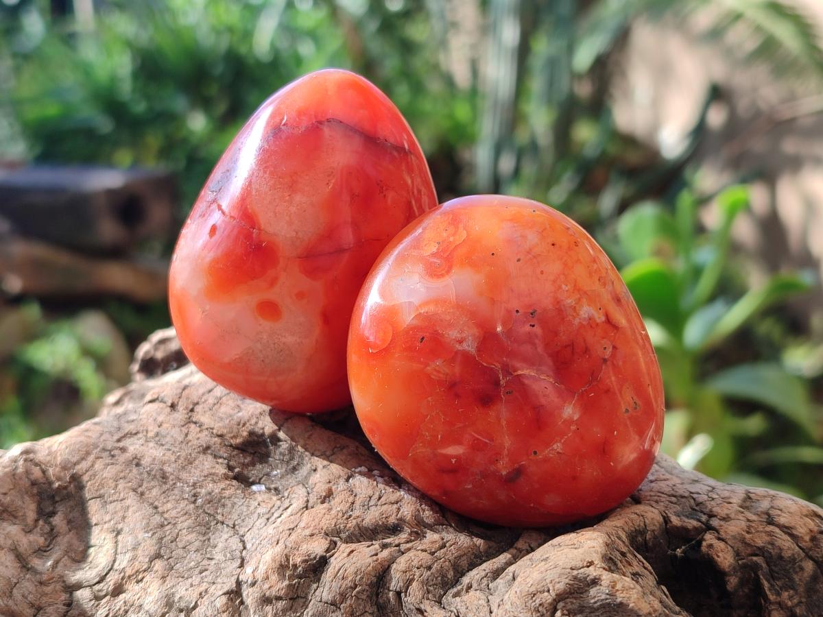 Polished Carnelian Agate Gemstone Galets x 24 From Madagascar - Toprock Gemstones and Minerals 