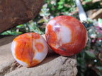 Polished Carnelian Agate Gemstone Galets x 24 From Madagascar - Toprock Gemstones and Minerals 