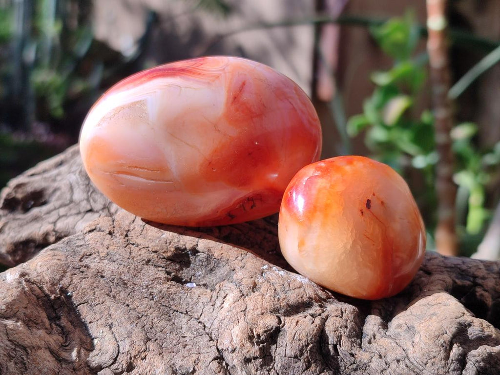 Polished Carnelian Agate Gemstone Galets x 24 From Madagascar - Toprock Gemstones and Minerals 