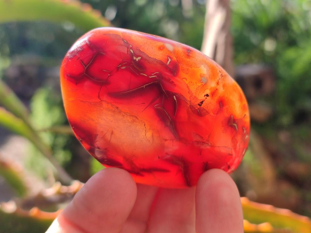 Polished Carnelian Agate Gemstone Galets x 24 From Madagascar - Toprock Gemstones and Minerals 