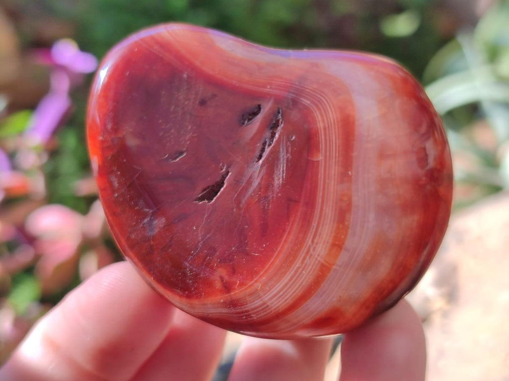 Polished Carnelian Agate Gemstone Galets x 24 From Madagascar - Toprock Gemstones and Minerals 