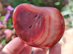 Polished Carnelian Agate Gemstone Galets x 24 From Madagascar - Toprock Gemstones and Minerals 