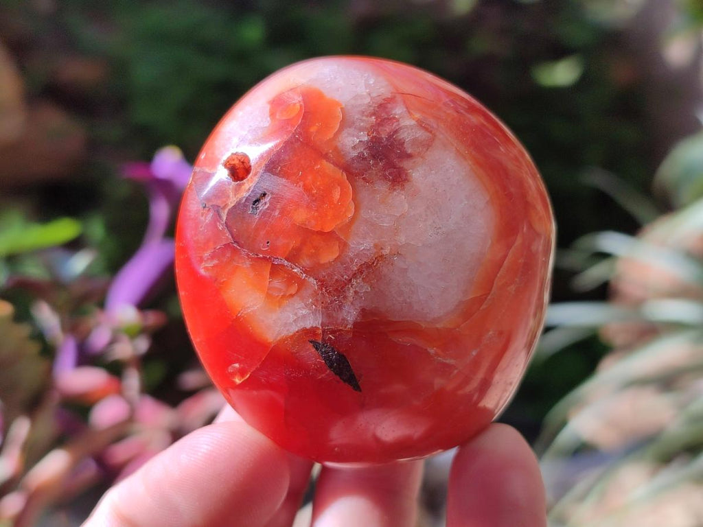 Polished Carnelian Agate Gemstone Galets x 24 From Madagascar - Toprock Gemstones and Minerals 
