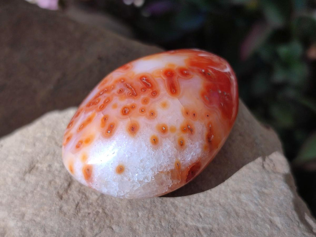 Polished Carnelian Agate Gemstone Galets x 24 From Madagascar - Toprock Gemstones and Minerals 