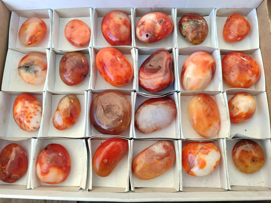 Polished Carnelian Agate Gemstone Galets x 24 From Madagascar - Toprock Gemstones and Minerals 