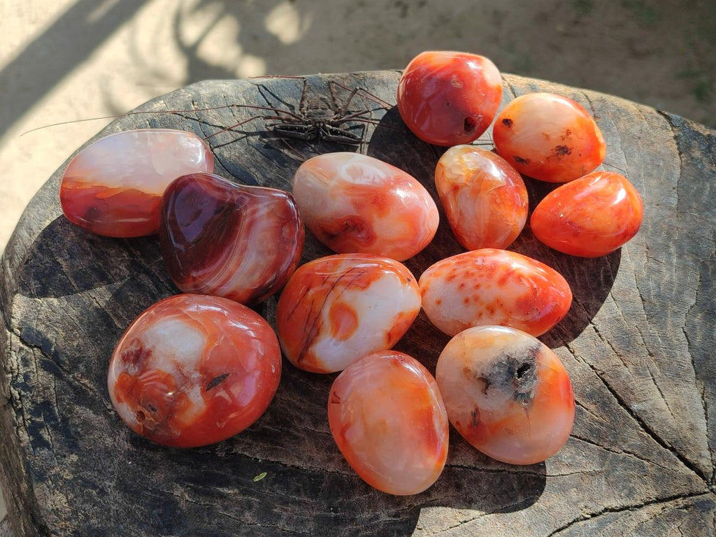 Polished Carnelian Agate Gemstone Galets x 24 From Madagascar - Toprock Gemstones and Minerals 