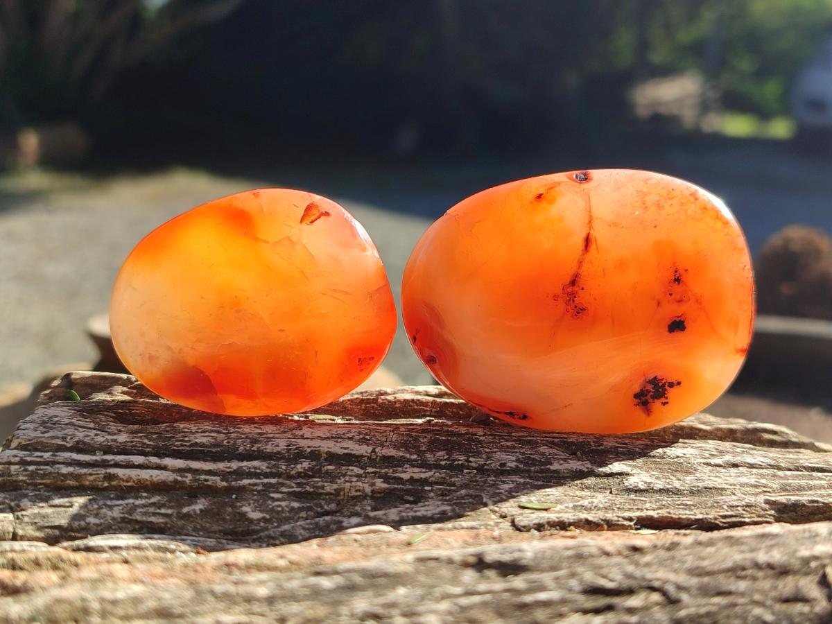 Polished Carnelian Agate Gemstone Galets x 24 From Madagascar - Toprock Gemstones and Minerals 