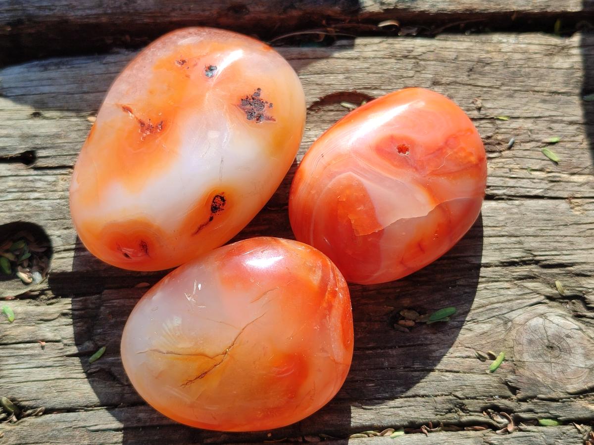 Polished Carnelian Agate Gemstone Galets x 24 From Madagascar - Toprock Gemstones and Minerals 