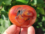 Polished Carnelian Agate Gemstone Galets x 24 From Madagascar - Toprock Gemstones and Minerals 