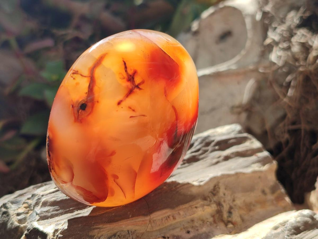 Polished Carnelian Agate Gemstone Galets x 24 From Madagascar - Toprock Gemstones and Minerals 