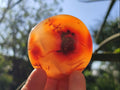 Polished Carnelian Agate Gemstone Galets x 24 From Madagascar - Toprock Gemstones and Minerals 