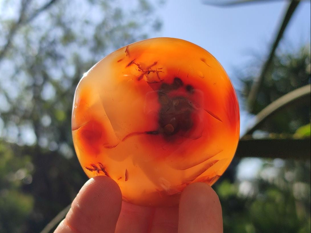 Polished Carnelian Agate Gemstone Galets x 24 From Madagascar - Toprock Gemstones and Minerals 