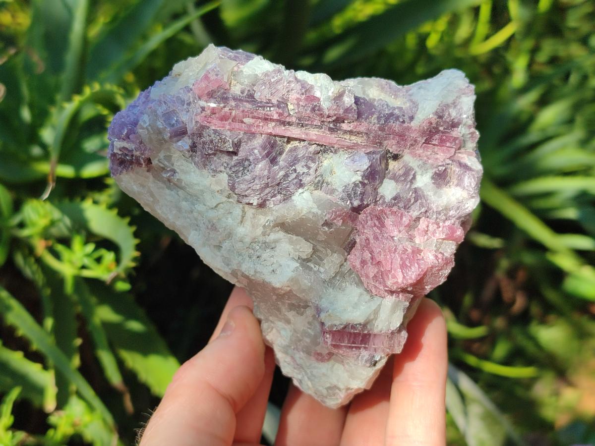 Natural Pink Rubellite Tourmaline Specimens x 6 From Karibib, Namibia - Toprock Gemstones and Minerals 